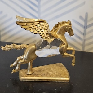 il_300x300.7683146616_tttr.jpg