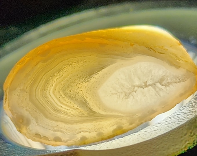 Agate EGGS Cut and Polished from Arizona