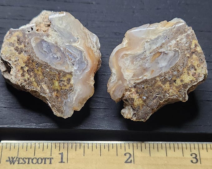 Chalcedony Cut and Hand Polished from Arizona