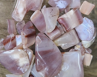 Tumbled RAINBOW Petrified Wood from Arizona