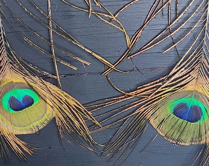 Peacock EYE Feathers 28 in