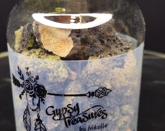 Peridotite RAW Self-collected San Carlos