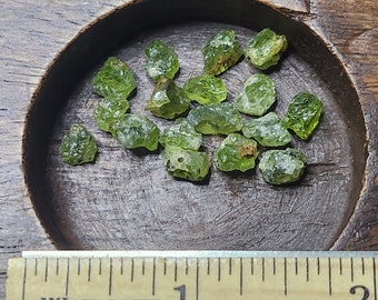Peridot/Olivine Gems RAW Self-collected San Carlos
