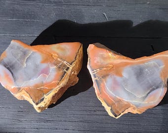 RAINBOW Petrified Wood Hand Polished face from Arizona (pair)