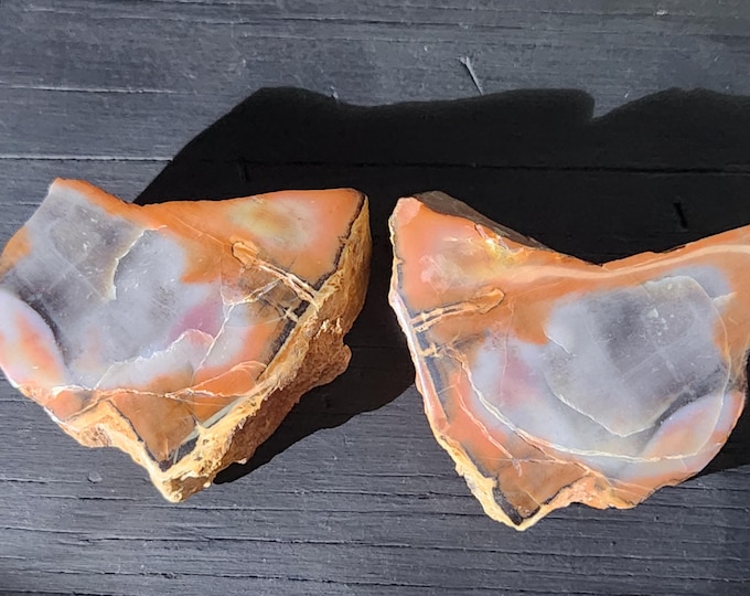 RAINBOW Petrified Wood Hand Polished face from Arizona (pair)