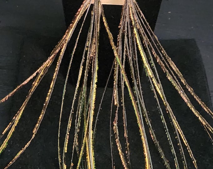 PEACOCK Feather Earrings from Arizona