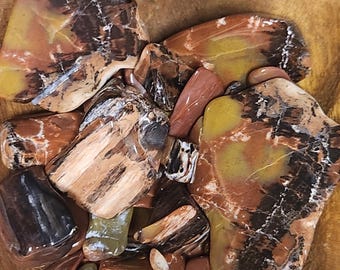 Tumbled RAINBOW Petrified Wood from Arizona