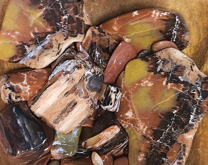 Tumbled RAINBOW Petrified Wood from Arizona