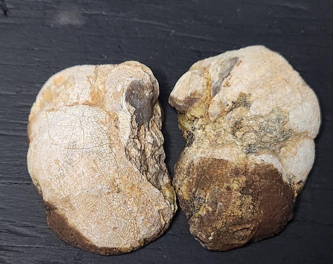 Nodule Cut and Hand Polished from Arizona