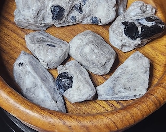 Obsidian "Apache Tears" in Perlite from Arizona