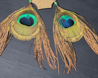 PEACOCK Feather Earrings from Arizona