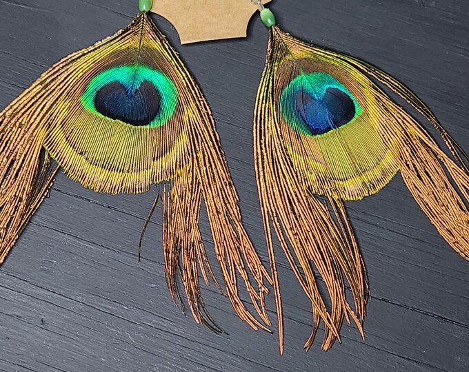 PEACOCK Feather Earrings from Arizona