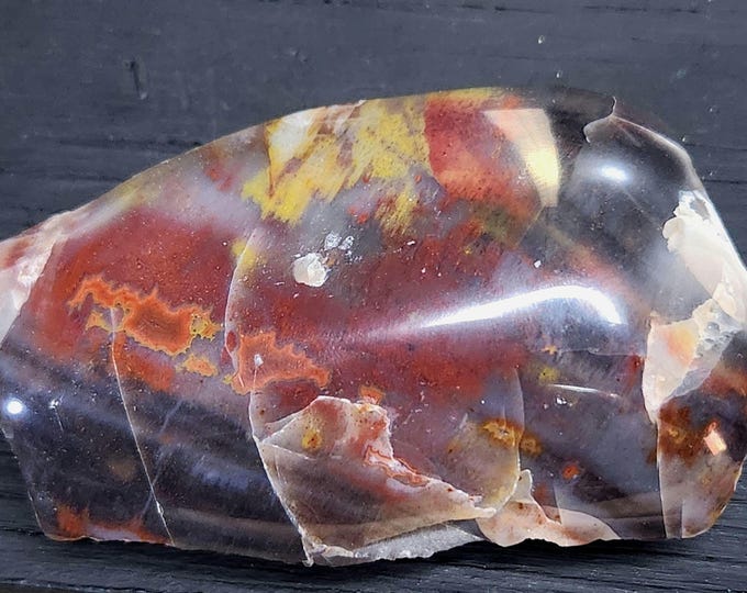 RAINBOW Petrified Wood Hand Polished face from Arizona