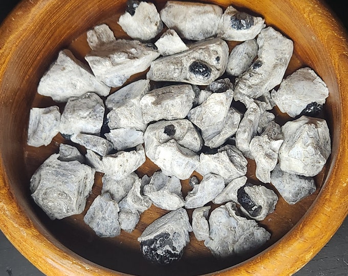 Obsidian "Apache Tears" in Perlite from Arizona