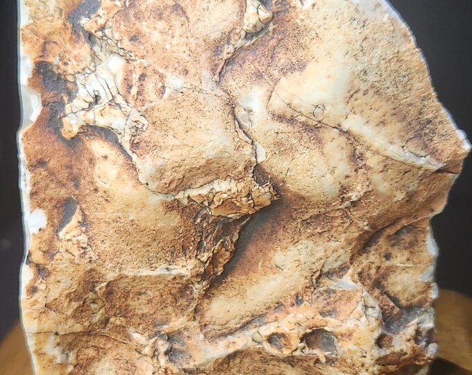 PASTELITE/CHERT Hand Polished face from Arizona