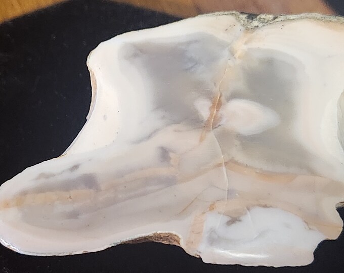 PASTELITE/CHERT Hand Polished face from Arizona
