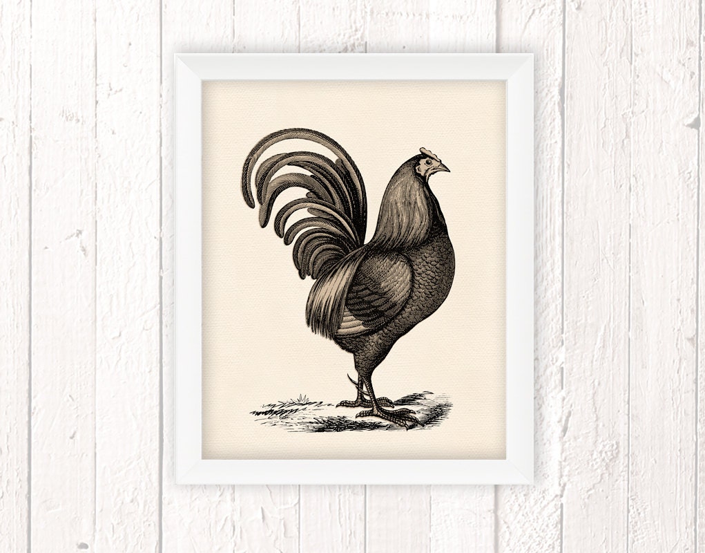 Farmhouse Decor Rooster Print Rooster Decor Chicken Art Etsy