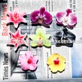Orchid Flower Phone Grip, Hibiscus Flower Magnetic Phone Grip, Lily Flower Floral Grip For Kindle, Resin Phone Holder Accessory