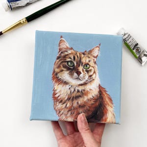 May include: A square canvas painting featuring a detailed portrait of a brown tabby cat with green eyes against a solid light blue background. The cat has long fur with dark brown stripes and a white chest area, rendered in realistic brushstrokes.