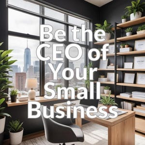 Be the CEO of Your Small Business
