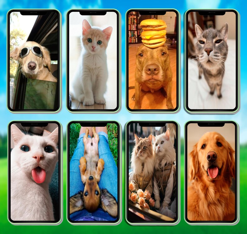 May include: A collage of nine images featuring various pets, including dogs and cats. The images are displayed in a grid format on a phone screen. Some of the pets are wearing sunglasses, hats, and other accessories.
