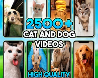 Funny Cat & Dog Videos, Cute Kitten and Puppy Fail Moments, Viral Animal Memes, Asmr, Pet Instagram Reels YouTube Shorts TikTok Clips Bundle