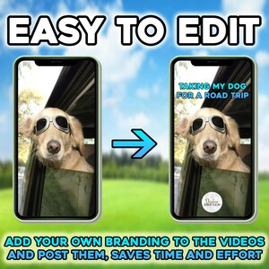 May include: A golden retriever dog wearing sunglasses is in a car. The text "TAKING MY DOG FOR A ROAD TRIP" is on the screen. The text "Dodon DECALS" is in the lower right corner of the screen.
