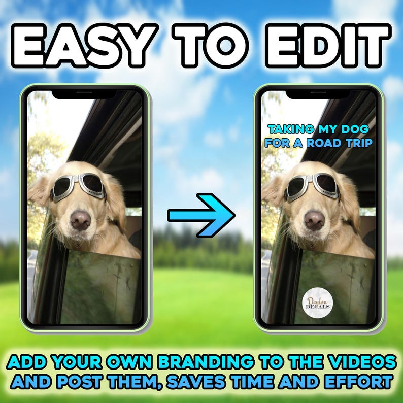 May include: A golden retriever dog wearing sunglasses is in a car. The text "TAKING MY DOG FOR A ROAD TRIP" is on the screen. The text "Dodon DECALS" is in the lower right corner of the screen.