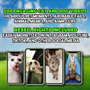 May include: Four smartphone screens displaying a selection of cat and dog videos. The text at the top of the image reads "500 ENGAGING CAT AND DOG VIDEOS", "HILARIOUS PET MOMENTS, ADORABLE FAILS, ANIMAL MEMES, AND ASMR CLIPS", "RESELL RIGHTS INCLUDED", "EASILY MONETIZE ON INSTAGRAM, YOUTUBE, TIKTOK, AND OTHER SOCIAL MEDIA".