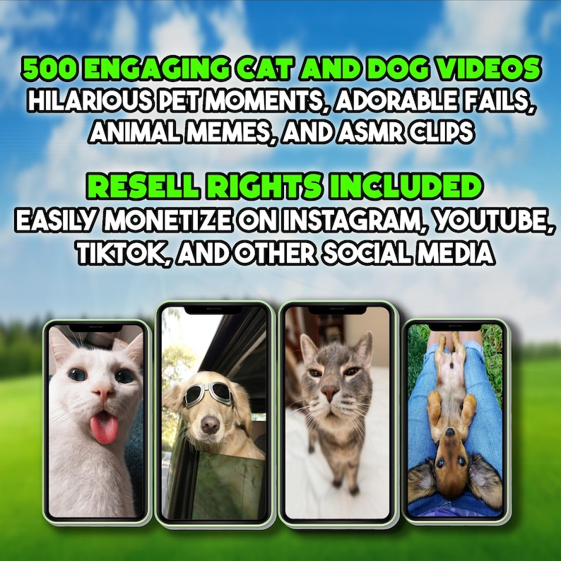 May include: Four smartphone screens displaying a selection of cat and dog videos. The text at the top of the image reads "500 ENGAGING CAT AND DOG VIDEOS", "HILARIOUS PET MOMENTS, ADORABLE FAILS, ANIMAL MEMES, AND ASMR CLIPS", "RESELL RIGHTS INCLUDED", "EASILY MONETIZE ON INSTAGRAM, YOUTUBE, TIKTOK, AND OTHER SOCIAL MEDIA".