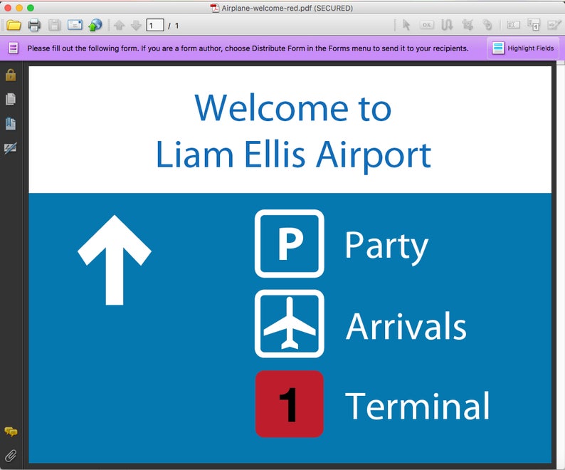 8 Airport Printable Signs Personalized for an Airplane - Etsy