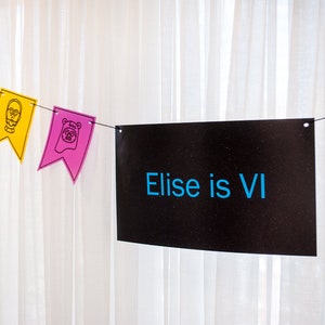 May include: A black banner with white stars and the text "Elise is VI" in blue. A string of colorful pennants with cartoon characters from Star Wars hangs above the banner.