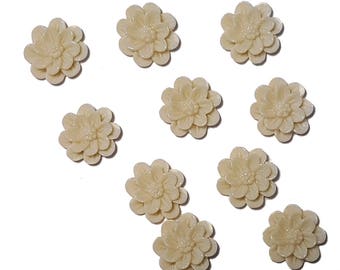 Resin Flower Chrysanthemums flatback cabochon flowers Cream color 10mm