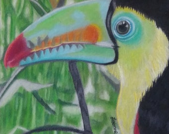 The Toucan - Original Colored Pencil Art