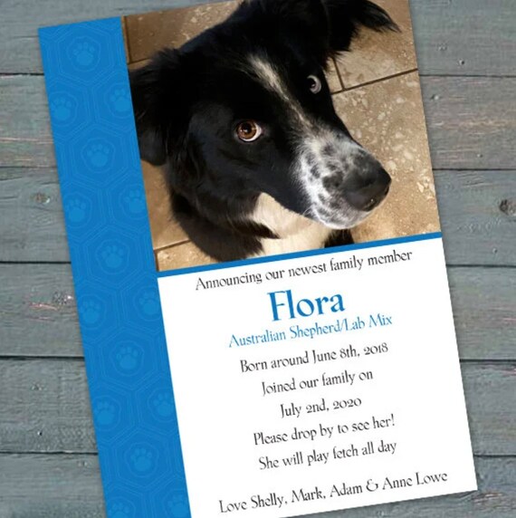 New Puppy Announcement, New Baby, Welcome Home Puppy, New Puppy