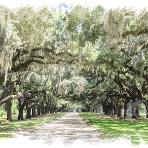 Avenue of the Oaks Watercolor Print: Boone Hall Plantation (Digital Download) | Southern Live Oak with Spanish Moss