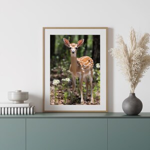 Closeup Deer Wall Art, Forest Animal Wall Decor, Hunting Art, Fawn Print, Farmhouse Decor, Animal Art Print,