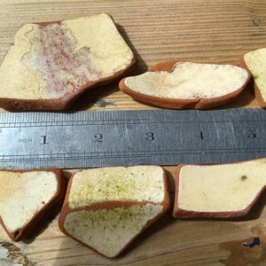May include: Six pieces of pottery with a cream-coloured surface and reddish-brown edges. A metal ruler with inch measurements is placed next to the pottery pieces. The pottery pieces vary in shape and size.