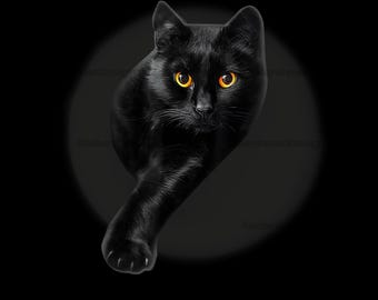 Op de afbeelding: Een digitale illustratie van een zwarte kat met feloranje ogen, tegen een donkere achtergrond. De kat loopt naar de kijker toe. De woorden "NEW DIGITAL" staan in een rood-witte banner bovenaan.