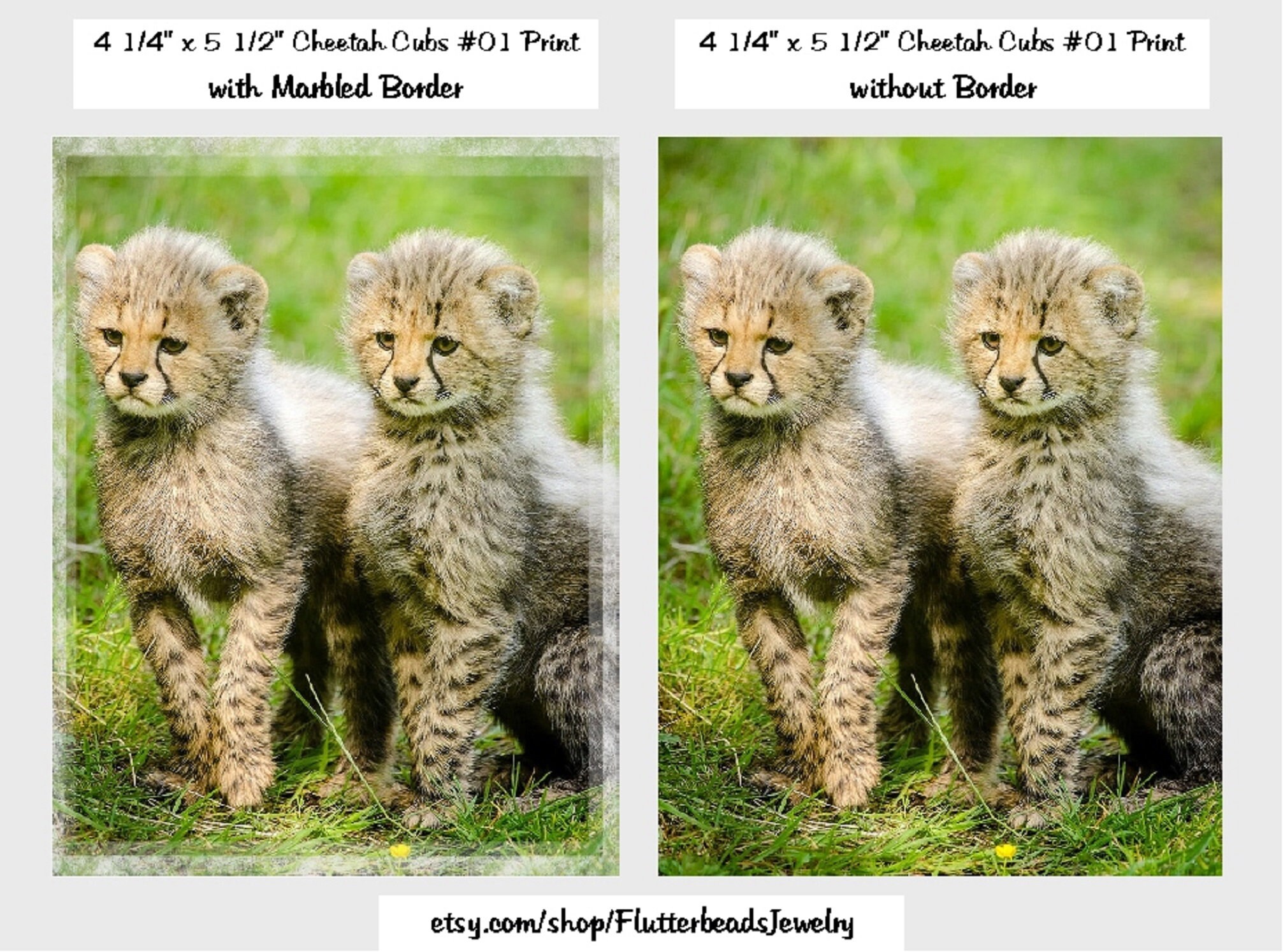 Cheetah Cubs Set 01 Flat Note Cards, Gift Tags, 4 1/4x5 1/2 Prints ...
