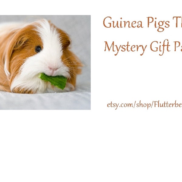 Guinea Pigs Themed Mystery Package, Mixed Items, Surprises, Tags, Note Cards, Fun Facts, Birthdays, Save the Guinea Pig, 10% or More Donated