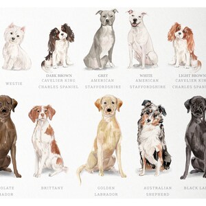 Personalized Dog Note Cards, Dog Note Cards, Custom Dog Stationery, Dog Stationery, Watercolor Dogs image 9
