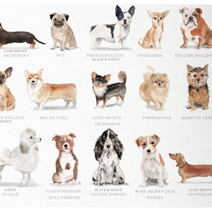 Personalized Dog Note Cards, Dog Note Cards, Custom Dog Stationery, Dog Stationery, Watercolor Dogs image 3