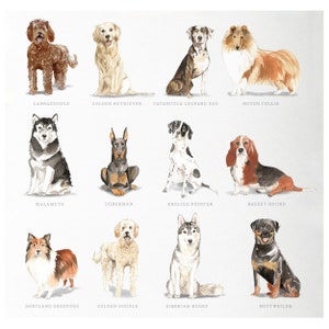 Personalized Dog Note Cards, Dog Note Cards, Custom Dog Stationery, Dog Stationery, Watercolor Dogs image 5