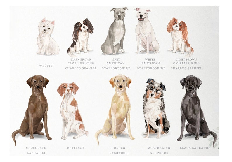 Personalized Dog Note Cards, Dog Note Cards, Custom Dog Stationery, Dog Stationery, Watercolor Dogs image 9