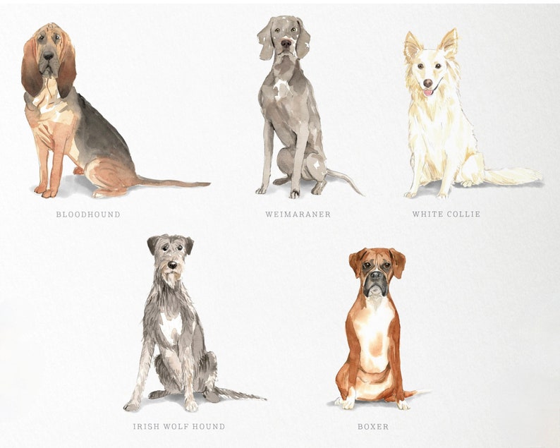 Personalized Dog Note Cards, Dog Note Cards, Custom Dog Stationery, Dog Stationery, Watercolor Dogs image 8