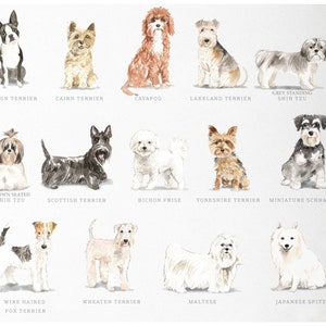 Personalized Dog Note Cards, Dog Note Cards, Custom Dog Stationery, Dog Stationery, Watercolor Dogs image 4