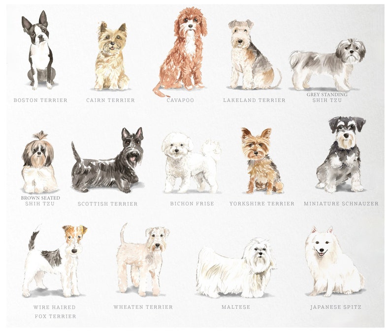 Personalized Dog Note Cards, Dog Note Cards, Custom Dog Stationery, Dog Stationery, Watercolor Dogs image 4