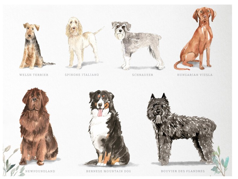 Personalized Dog Note Cards, Dog Note Cards, Custom Dog Stationery, Dog Stationery, Watercolor Dogs image 10