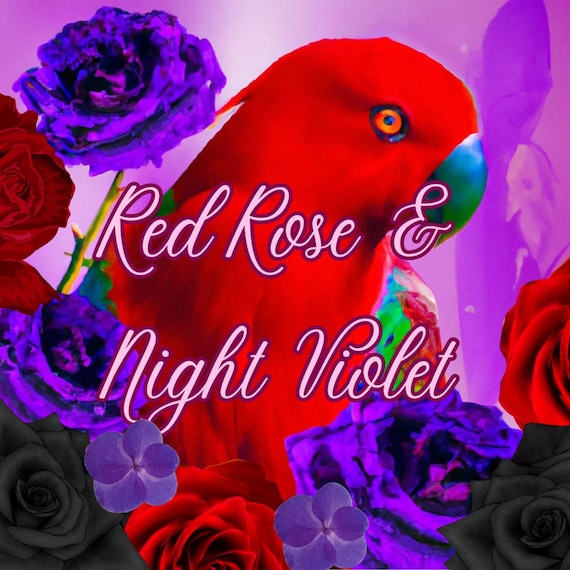 Red Rose & Night Violet Wax Melts, Parrot Safe, Pet Safe Wax Melts, Vegan,  Food Based, No Phthalates 